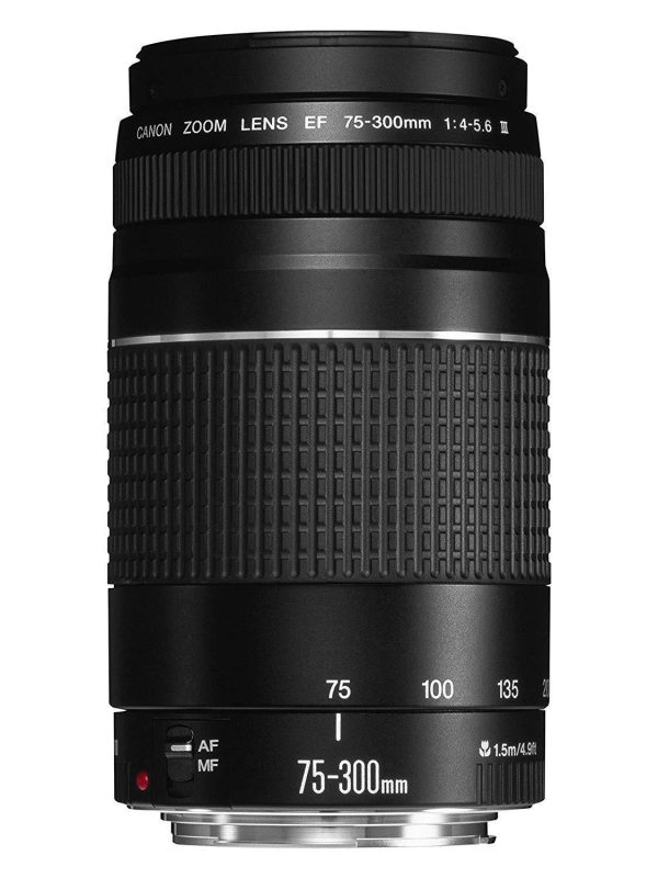 Canon EF 75-300 mm f 4-5.6 III Telephoto Zoom Lens for Canon SLR Cameras For Sale