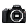 Canon EOS Rebel SL3 Digital Camera Body Kit (Black) For Discount