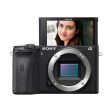 Sony Alpha a6600 Mirrorless Digital Camera Body Hot on Sale