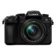 Panasonic DC-G95 Mirrorless Micro Four Thirds Camera with 12-60mm Lens For Cheap